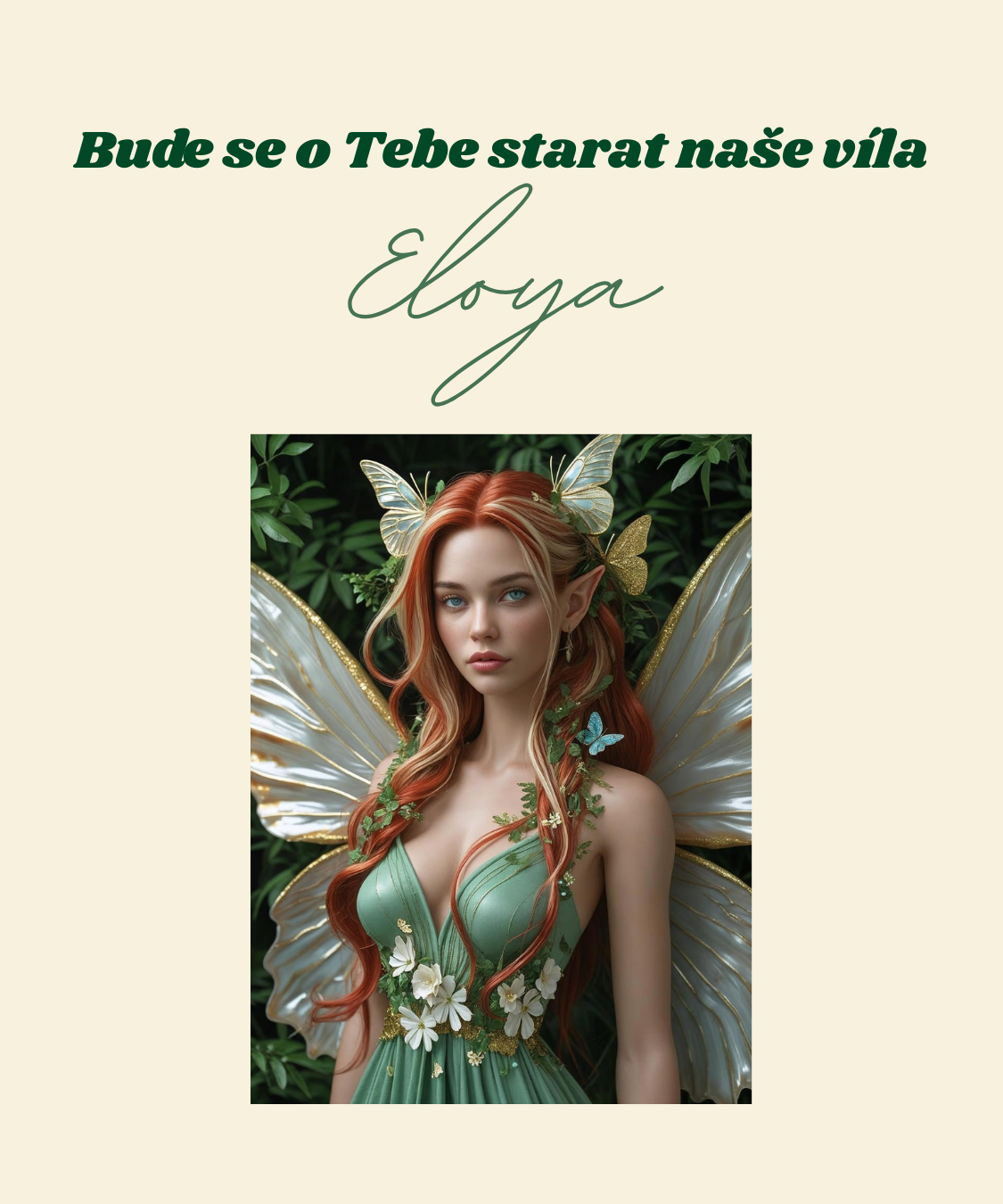 Bude se o Tebe starat naše víla_1